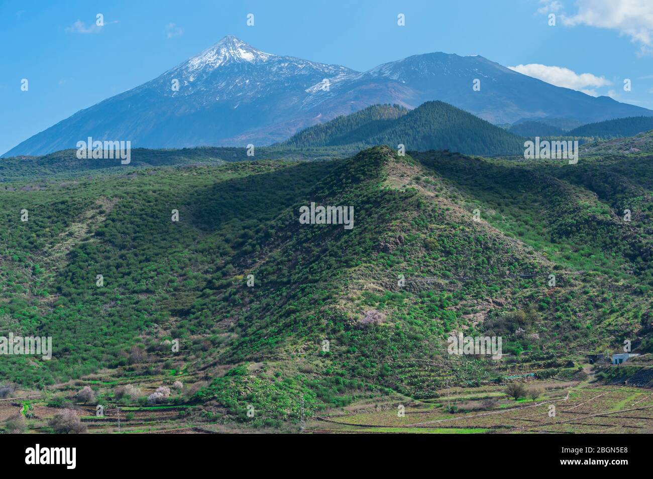 Vulcano Teide e Parco Nazionale di Teide, Tenerife, Isole Canarie, Spagna Foto Stock