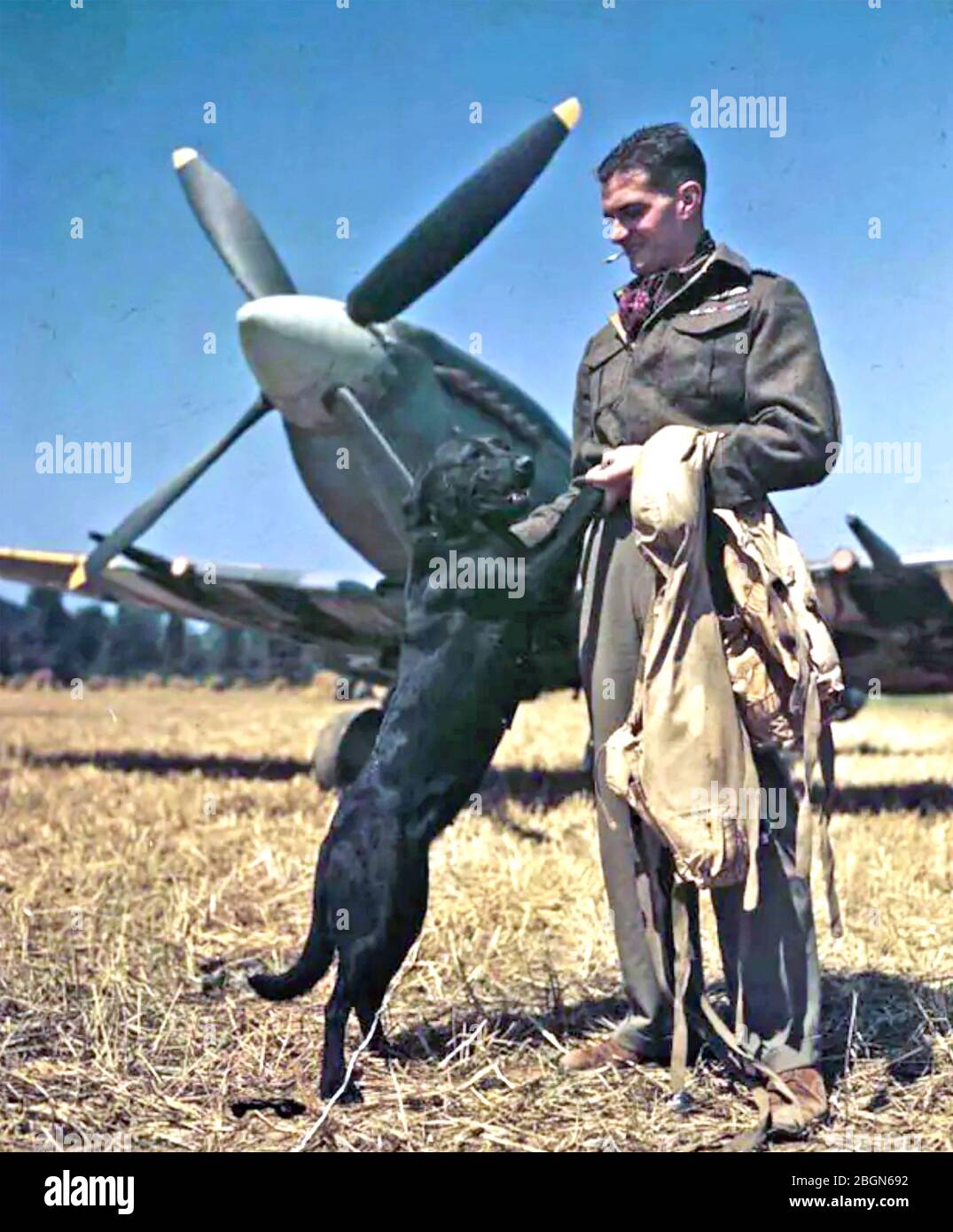 JOHNNIE JOIHNSON (1915-2001) RAF al Landing Ground di Bazenville, Normandia, 31 luglio 1944, con il suo labrador Sally. Foto Stock