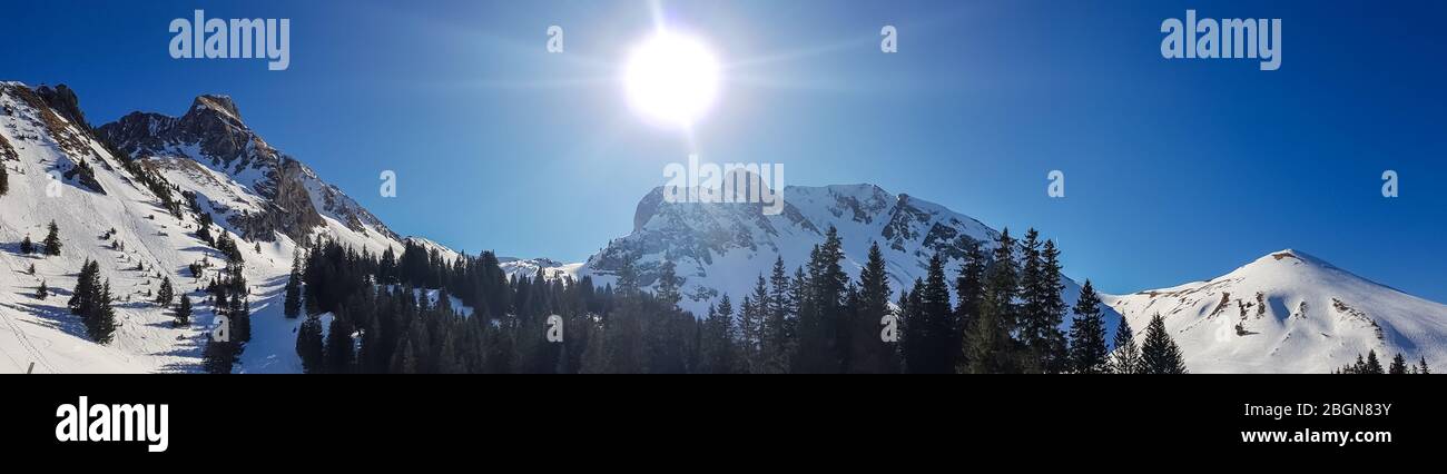 Parco Naturale del Gantrisch nel cantone di Berna, Oberland Bernese, Alpi Bernesi, Alpi svizzere, Svizzera Foto Stock