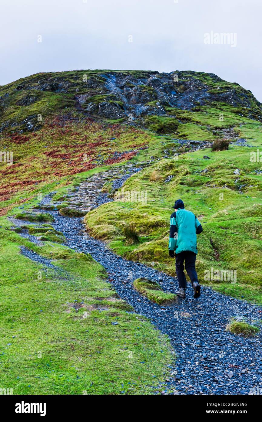 Un uomo in verde che sale la collina con il suo palo a mano Catbells cima nel Distretto del Lago all'alba Foto Stock