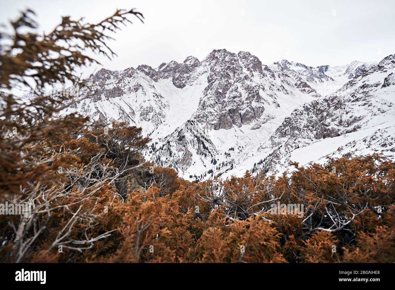 Alte montagne di neve nel nord del Tien Shan, Kazakistan Foto Stock