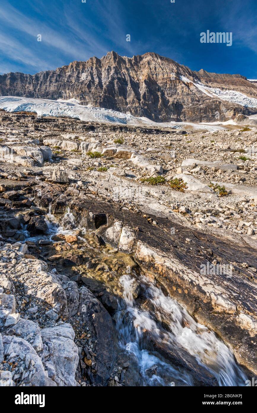 Torrente glaciale, Emerald Glacier Tongue sotto la President Range, dall'Isline Trail, dalle Canadian Rockies, dal Parco Nazionale di Yoho, dalla British Columbia, Canada Foto Stock