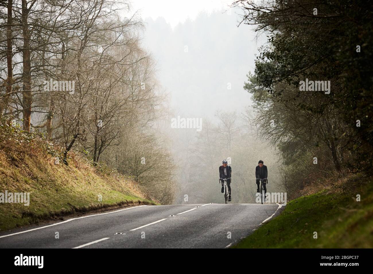 Ciclismo nella Foresta di Dean Foto Stock