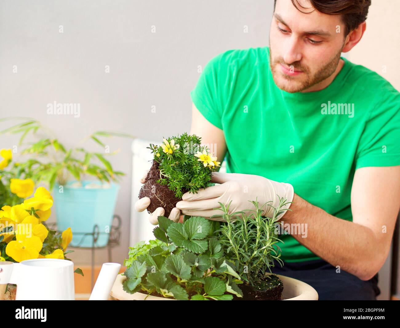 Giovane uomo che piantano erbe, piante, fiori in un balcone in una grande pentola di cheramic in una bella giornata di primavera. Foto Stock