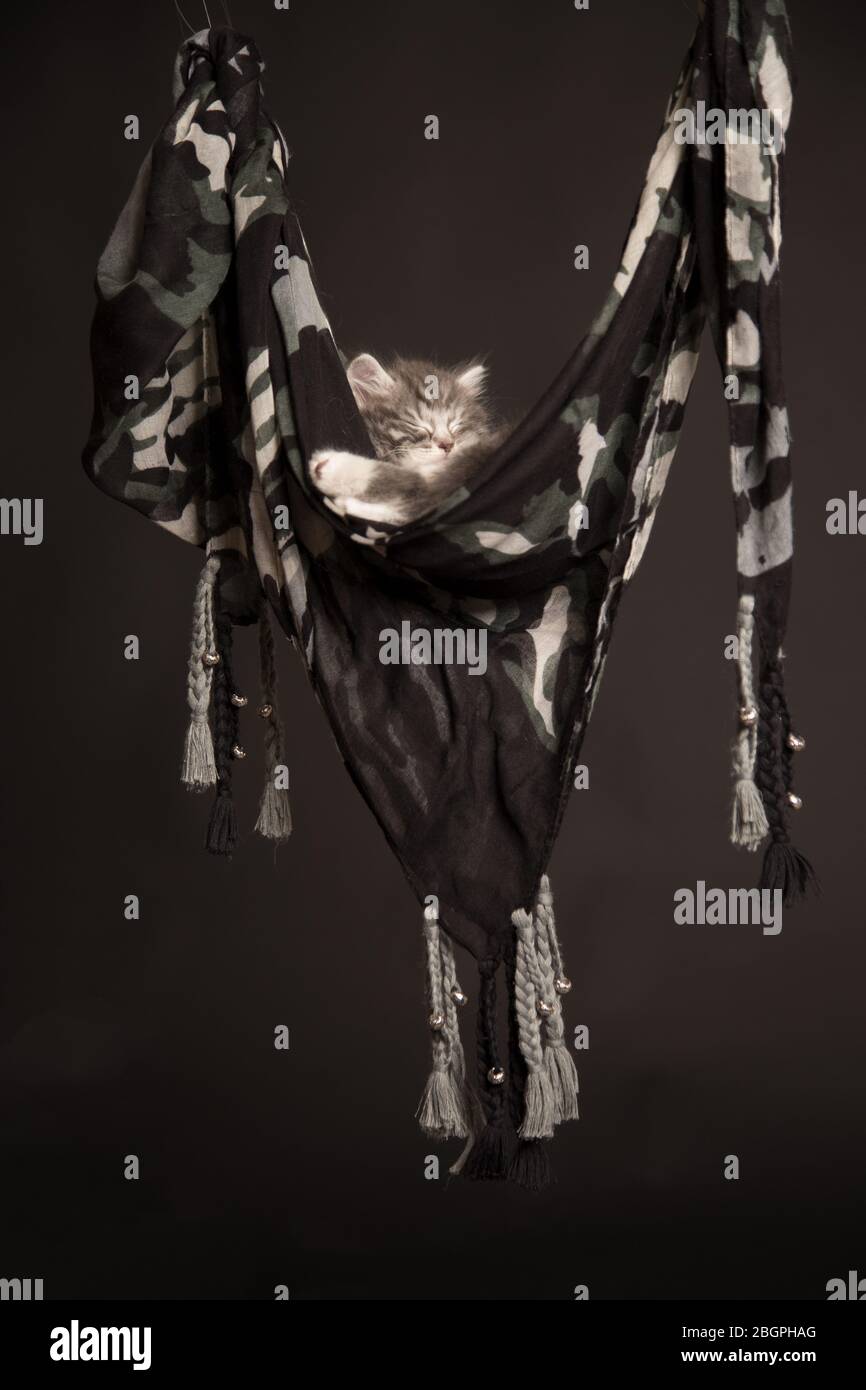 Sciarpa appesa immagini e fotografie stock ad alta risoluzione - Alamy