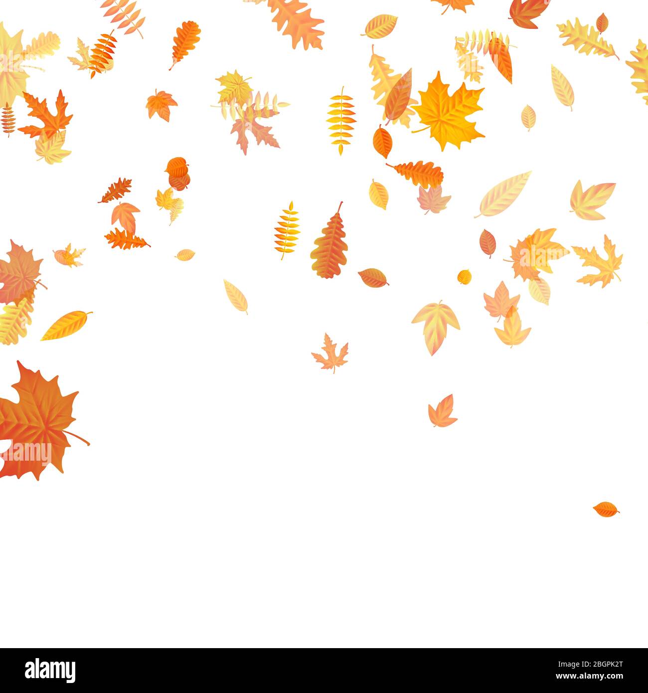 Sfondo autunnale con acero dorato, quercia e altre foglie. EPS 10 Illustrazione Vettoriale