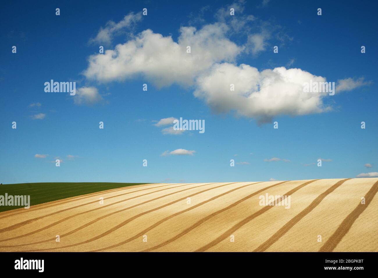 Linee curve e forme grafiche di un campo arato con un grande cielo blu e nuvole bianche e morbide del terreno agricolo in movimento sui fondali del Sussex, Sussex, Foto Stock