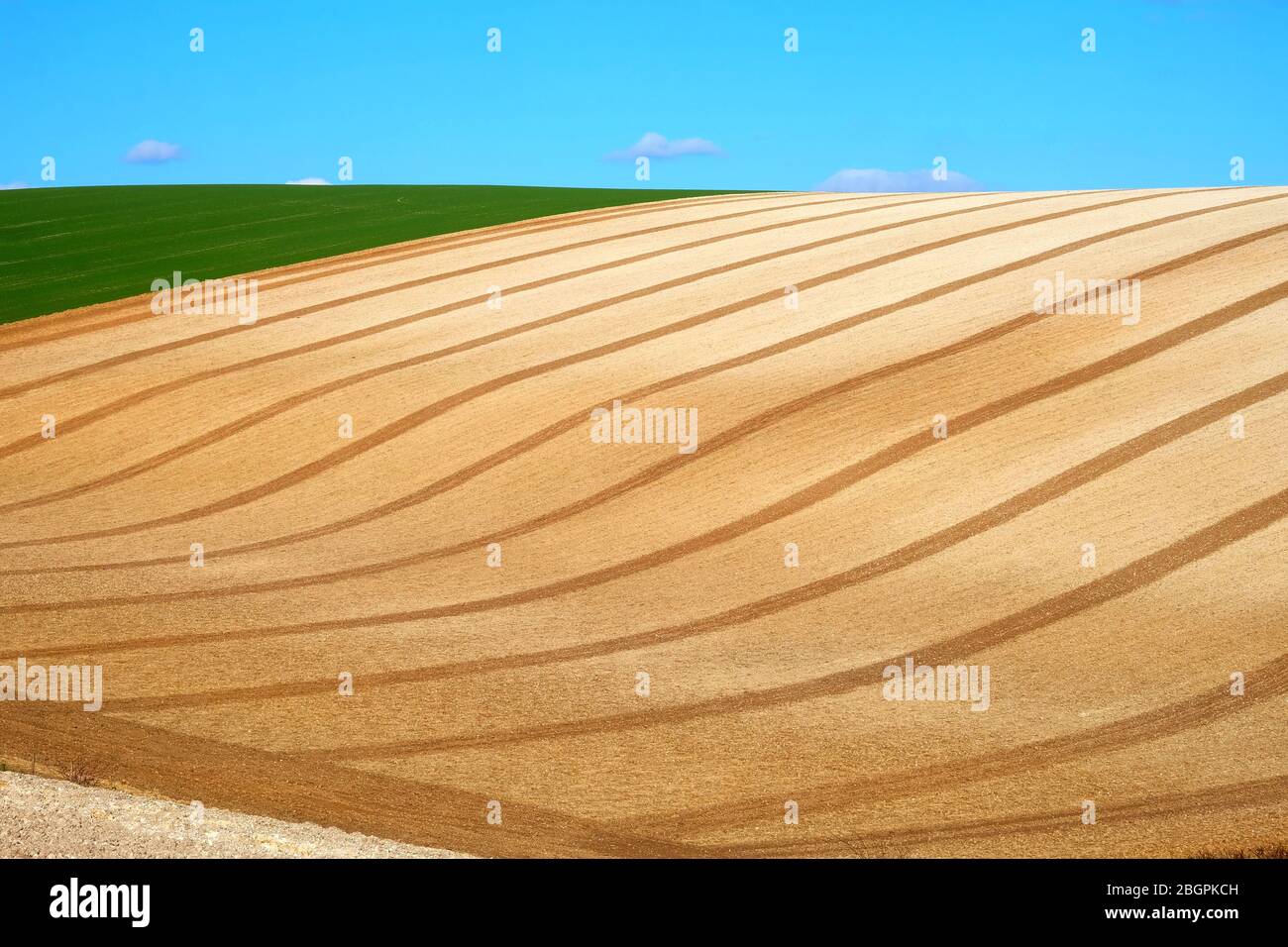 Linee curve e forme grafiche di un campo arato con un cielo blu e nuvole bianche e morbide del terreno agricolo in continuo movimento sui fondali del Sussex, Sussex, Eng Foto Stock