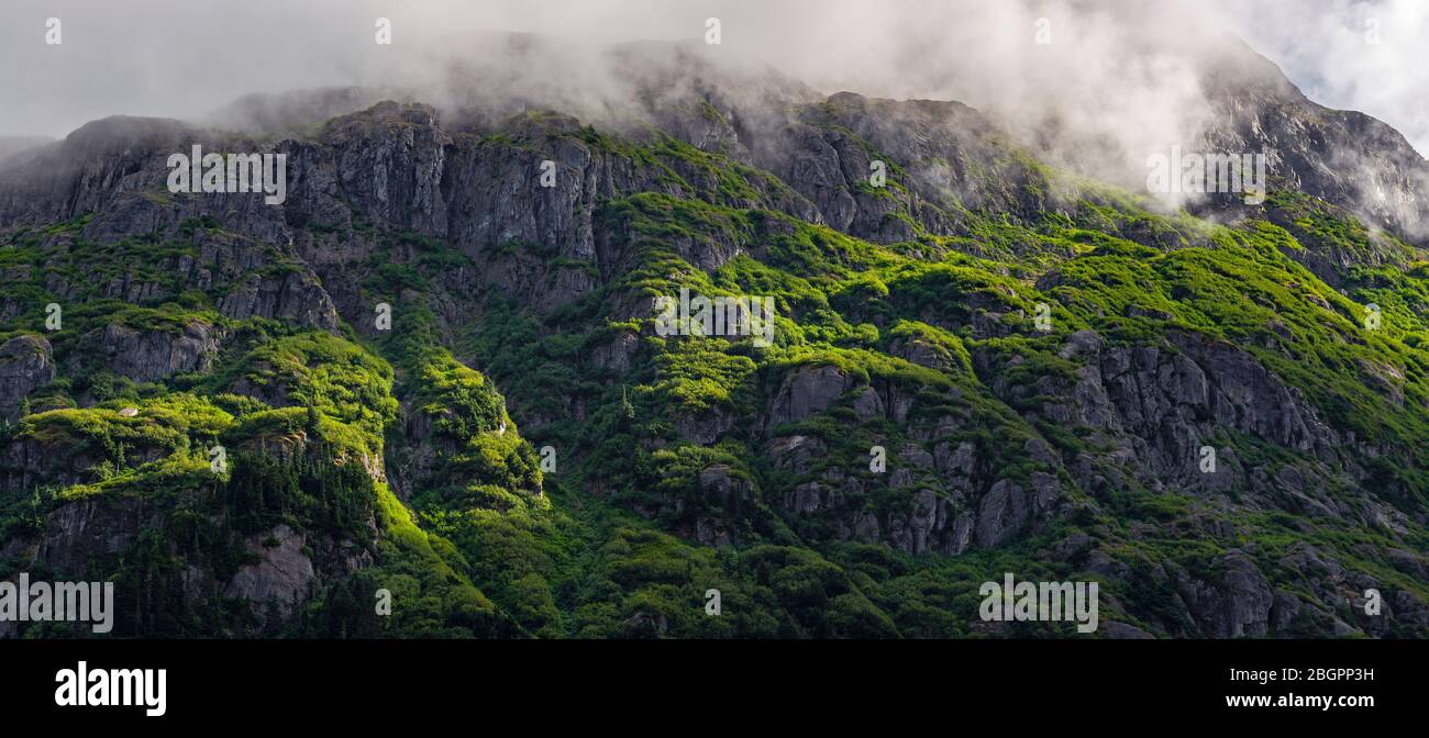 Paesaggio panoramico di una cima verde coperta di montagna nella nebbia vicino al ghiacciaio dell'Orso, Parco nazionale dei fiordi di Kenai, Alaska, Stati Uniti. Foto Stock