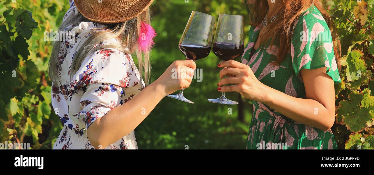 Primo piano sulle mani delle donne che tengono i bicchieri di vino rosso al vigneto in Francia Foto Stock