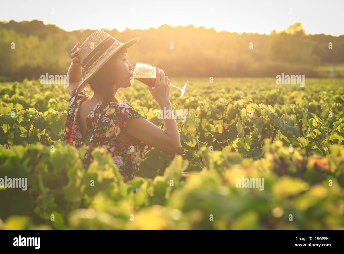 Donna asiatica bere vino rosso in vigna durante le sue vacanze, stile vintage Foto Stock