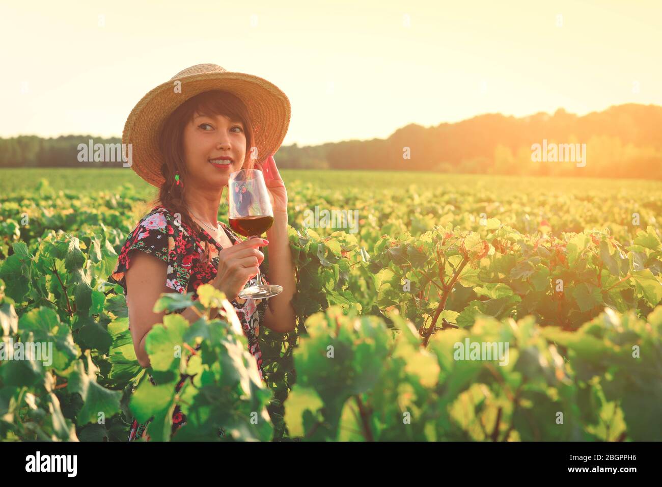 Giovane donna asiatica degusta vino al vigneto della regione di Bordeaux durante il tramonto in Francia Foto Stock