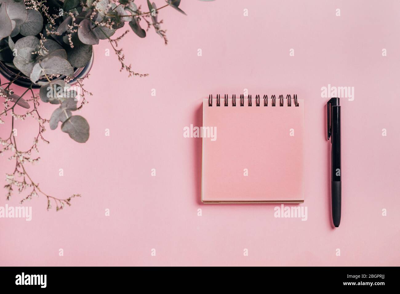 Vista dall'alto di un notebook a spirale rosa aperto, penna e piante di eucalipto sullo sfondo della scrivania rosa. Spazio di copia. Foto Stock