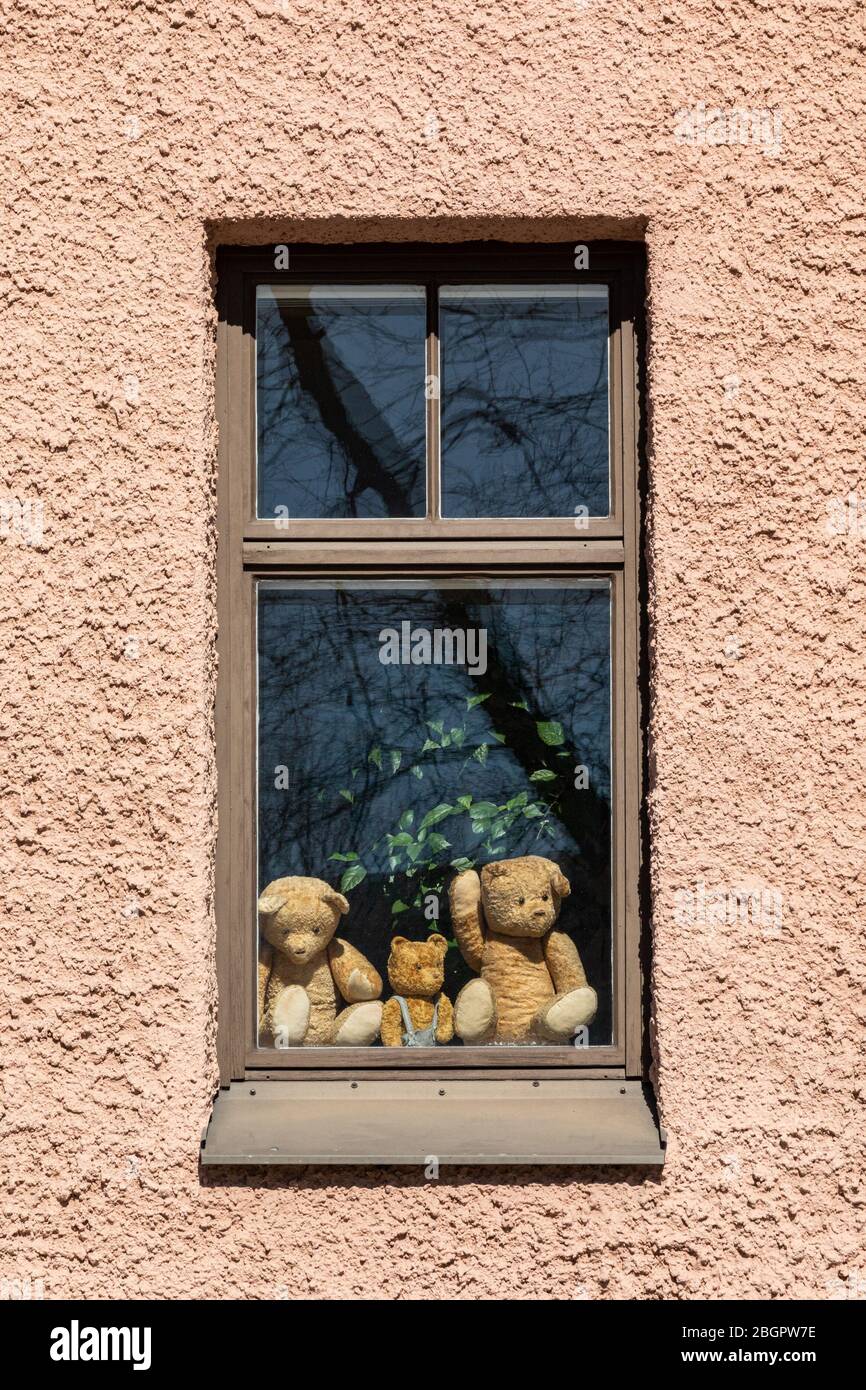 Tre orsacchiotti in finestra per la caccia all'orso Teddy durante l'epidemia di coronavirus COVID-19 Foto Stock