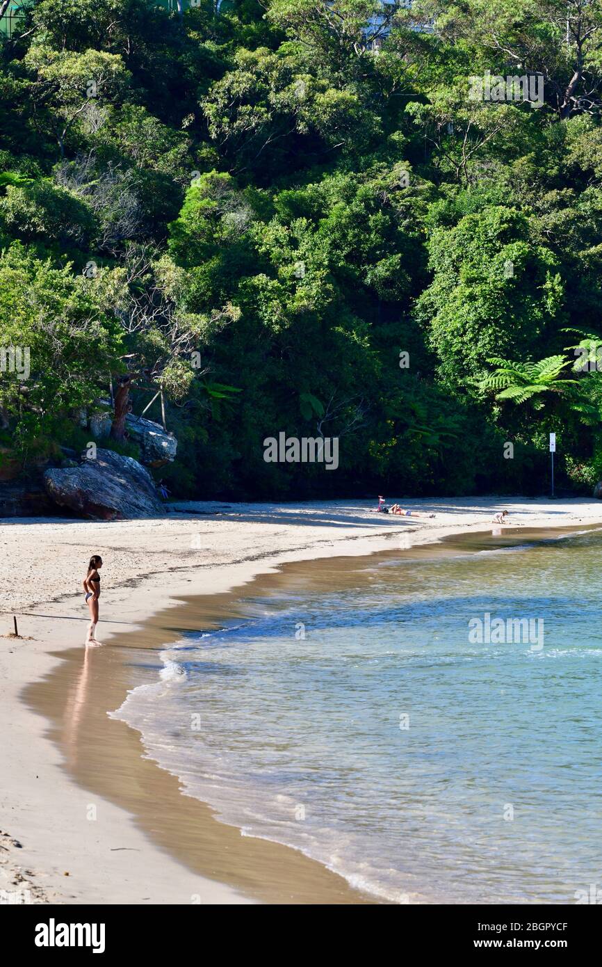 Una vista della spiaggia ai Clifton Gardens sul porto di Sydney Foto Stock