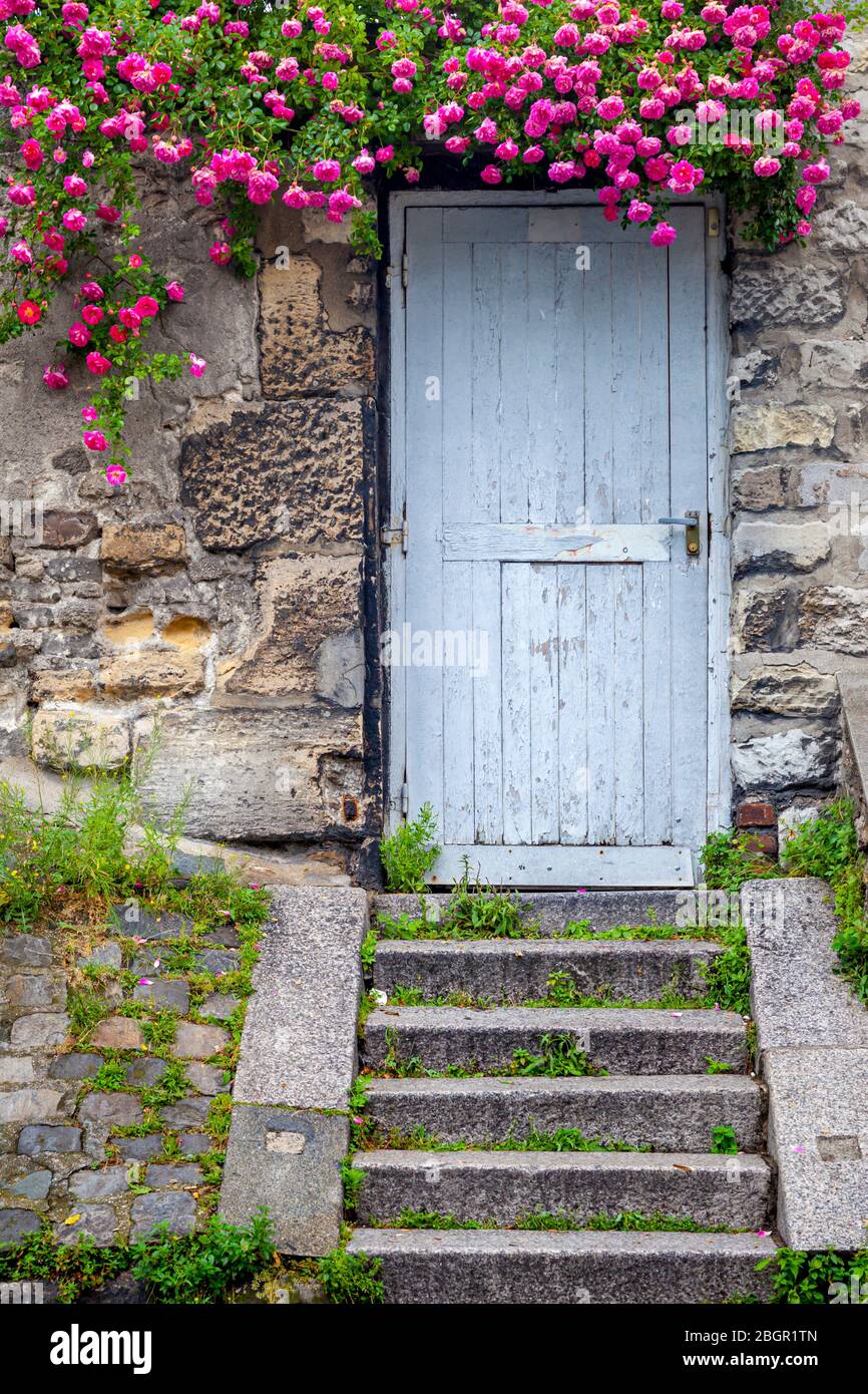 Il vecchio muro di pietra con la porta di legno e la fioritura delle rose, Montmartre, Parigi Francia Foto Stock