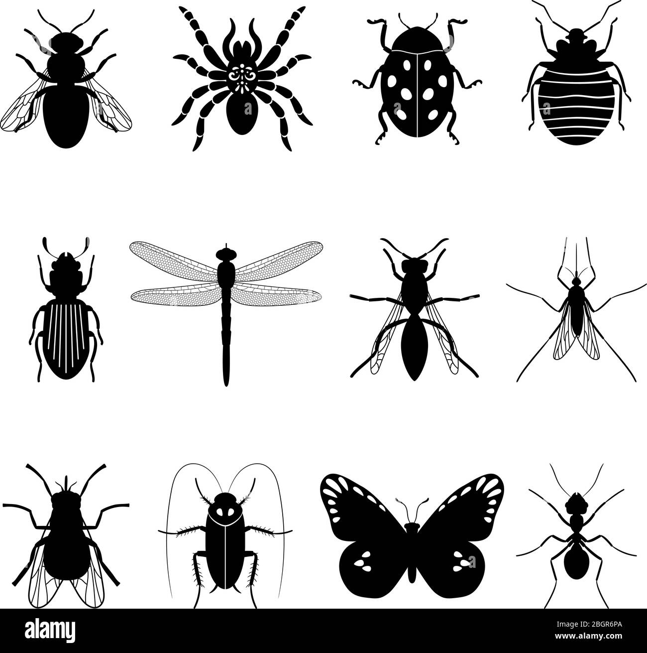 Icone insetti. Silhouette vettoriali per insetti su sfondo bianco Illustrazione Vettoriale