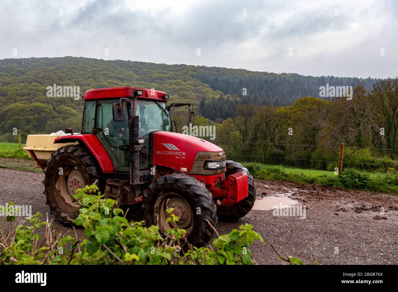 Fertilizzante, trattore, campo agricolo, spargimento, Fattoria, Agricoltura, pianta di cereale, pianta - pianta, giorno, guida, attrezzatura, erba, orizzontale, natura, Foto Stock
