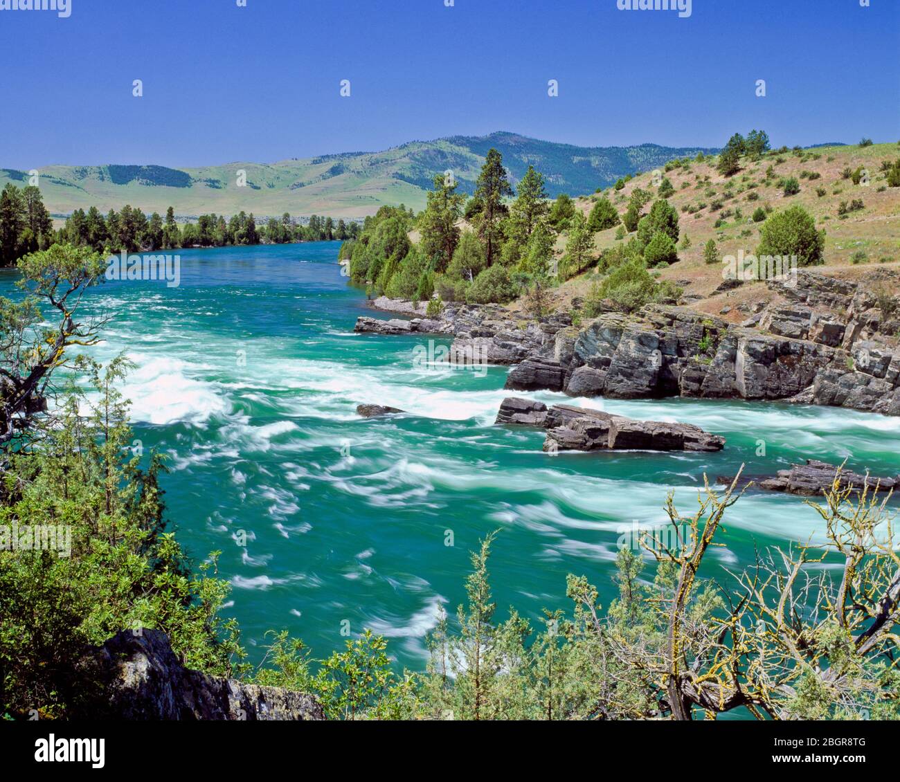Buffalo rapids lungo il fiume flathead sotto kerr diga nei pressi di polson montana Foto Stock