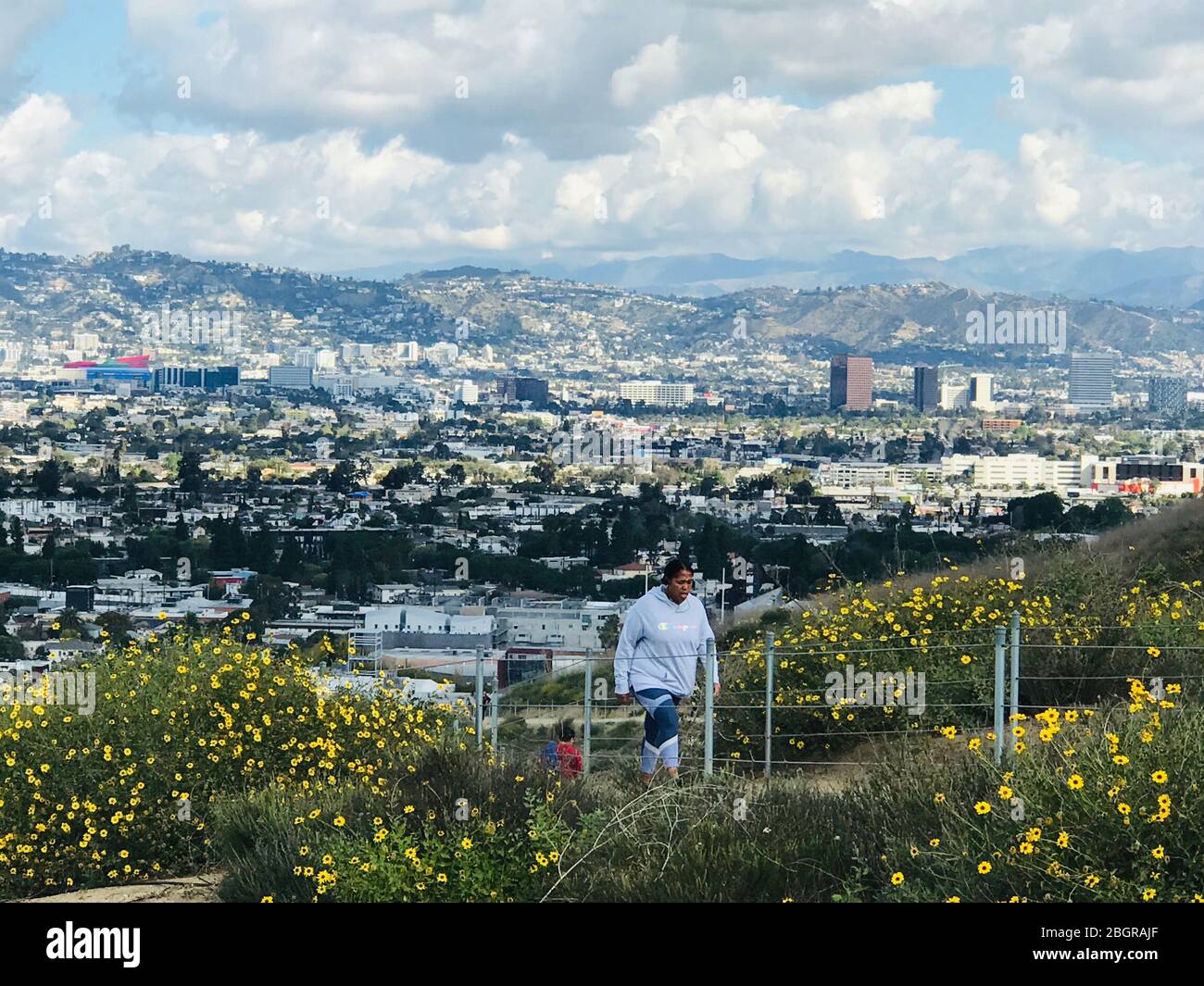 Persone che camminano su sentiero con fiori nelle Baldwin Hills guardando Culver City e il bacino di Los Angeles in una giornata limpida. Foto Stock