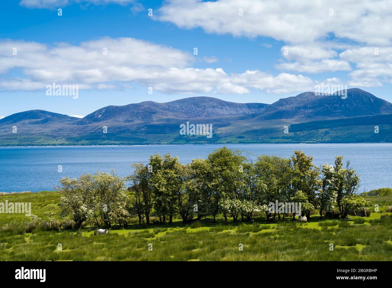 Montagne dell'isola di Arran da Kintyre, costa di Argyll, Scozia Foto Stock