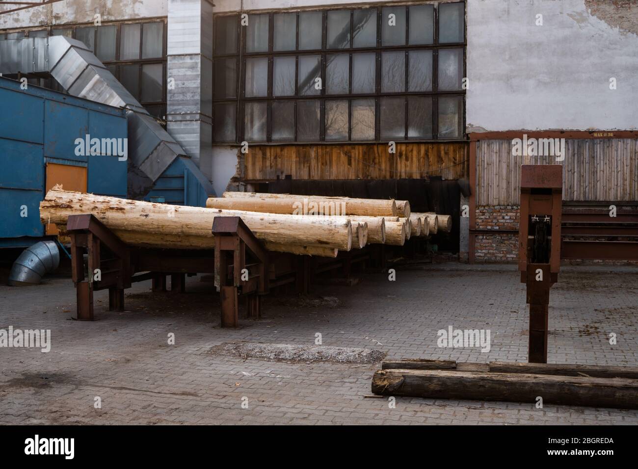 Tronchi di legno su una segheria preparata per segare su una linea di taglio. Industria del legname. Un mucchio di tronchi giace su una piattaforma. Lavorazione del legname alla segheria. Foto Stock
