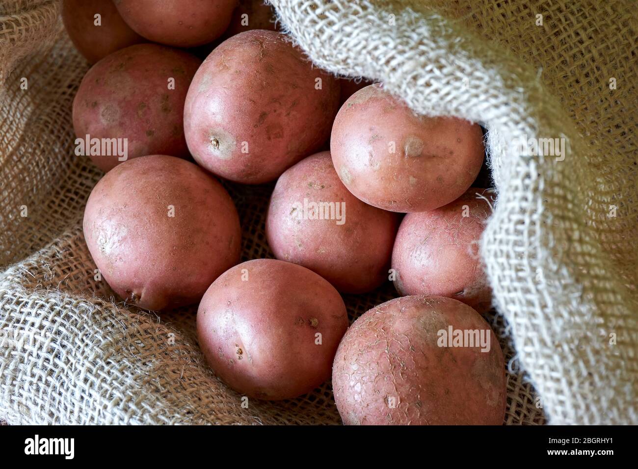 Patate in borsa a borraccia. Primo piano di molte patate rosse biologiche in sacchetto di iuta naturale. Semplice, cibo di base, cucina o concetto agricolo. Foto Stock