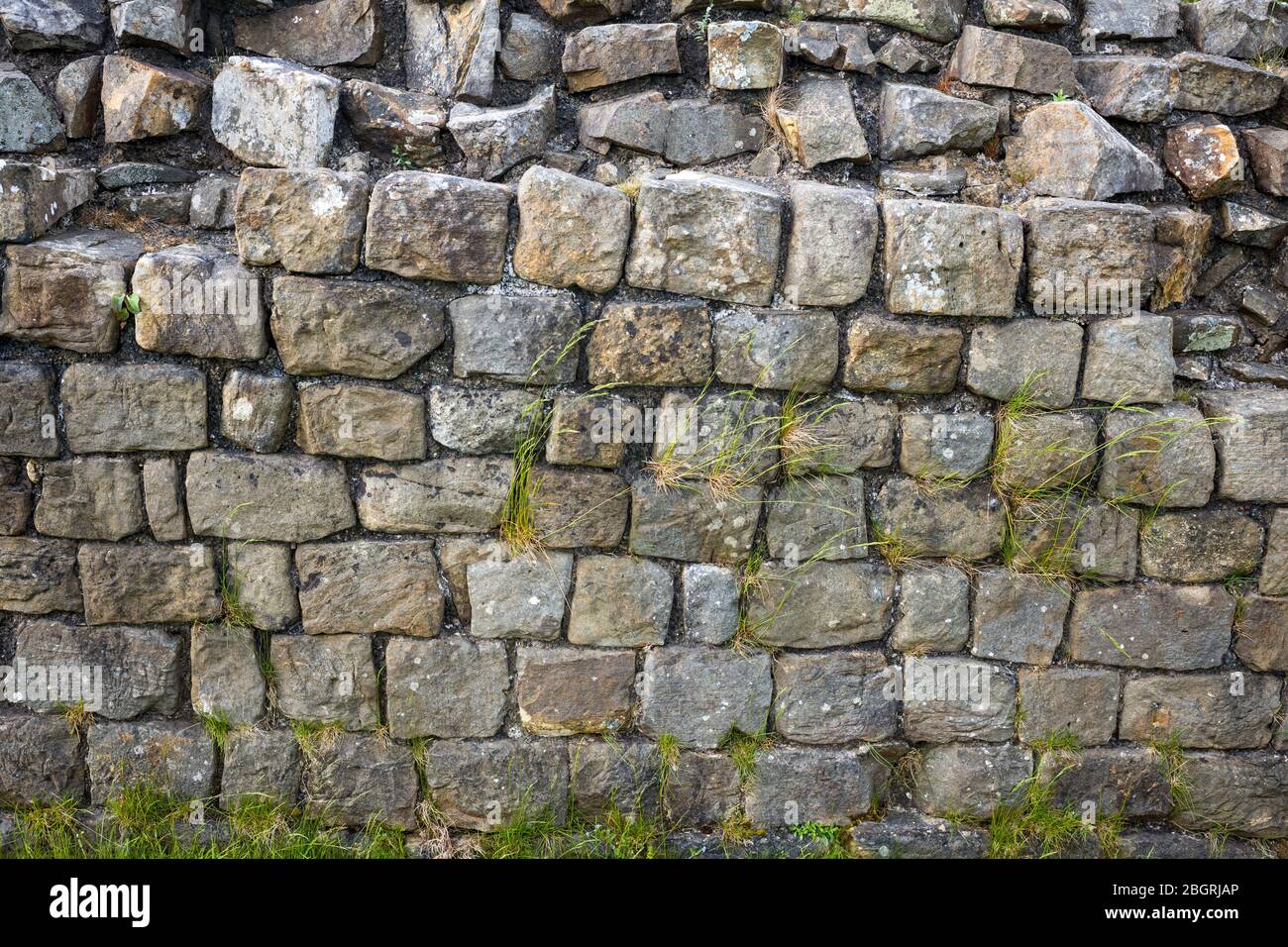 Il Muro di Adriano, confine di costruzione di pietra miliare nel Parco Nazionale del Northumberland a Walltown Crags, Inghilterra Foto Stock