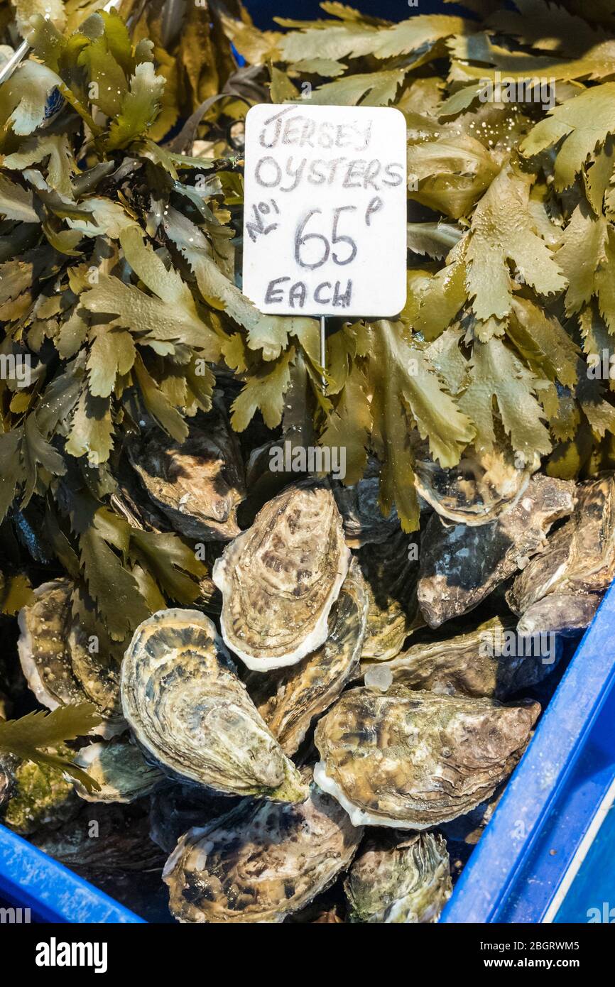 Jersey European Oyster, ostrea edulis, e alghe in vendita al mercato del pesce di St Helier a Jersey, Channel Isles Foto Stock