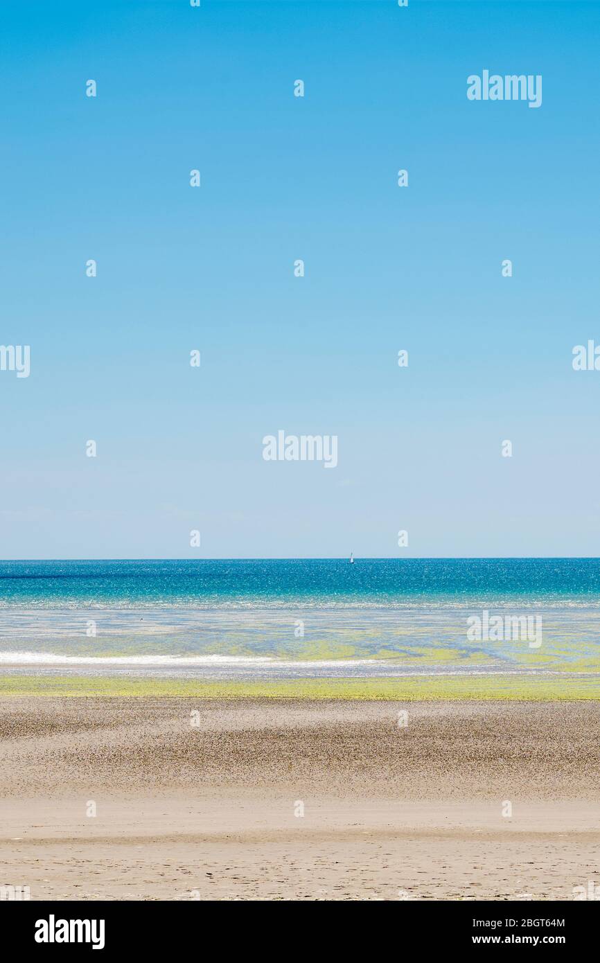 Alghe che formano forme geometriche sulla spiaggia sabbiosa di St Aubin's Bay, Jersey, Channel Isles Foto Stock