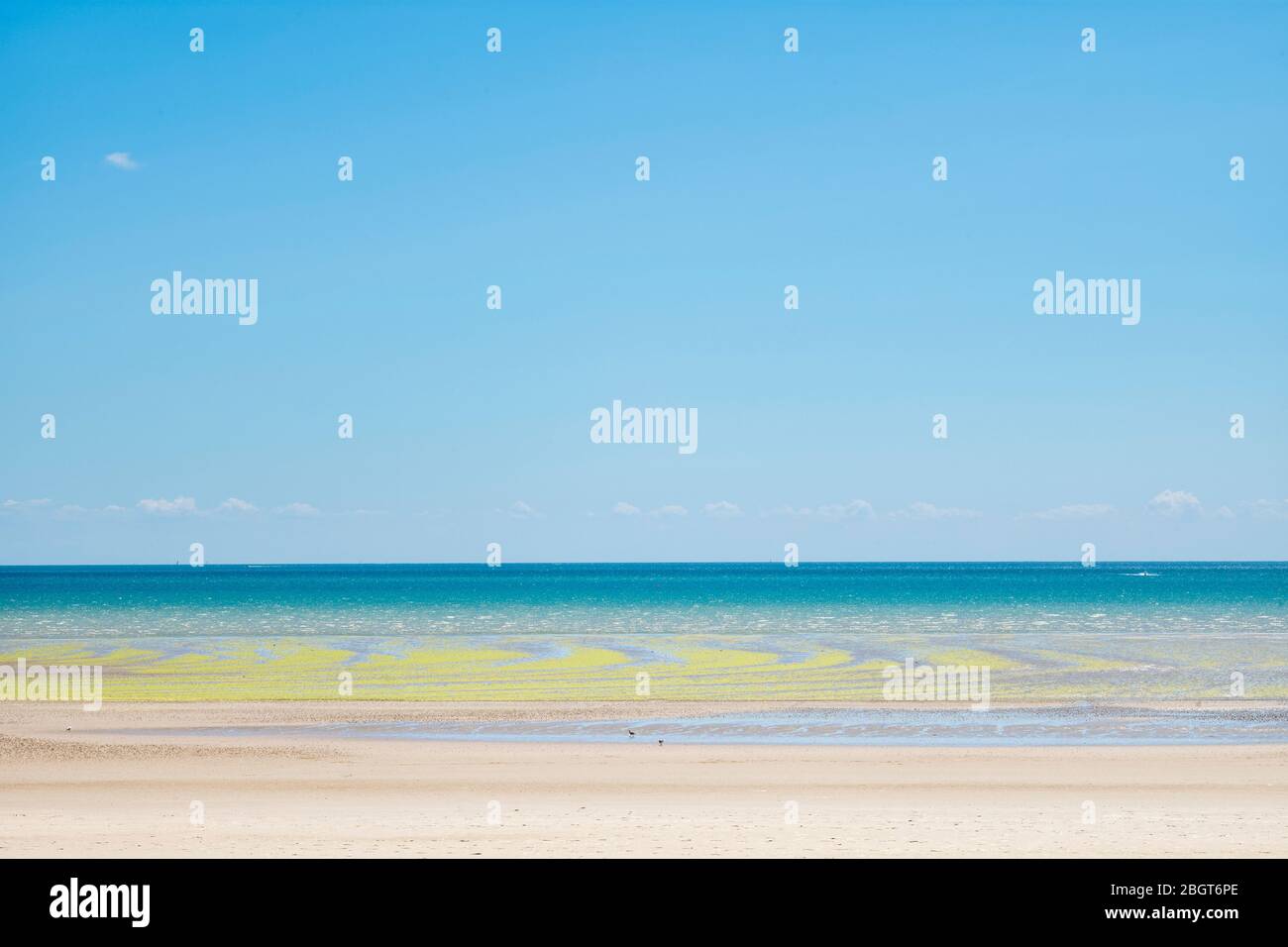 Alghe che formano forme geometriche curvilinee sulla spiaggia sabbiosa di St Aubin's Bay, Jersey, Channel Isles Foto Stock