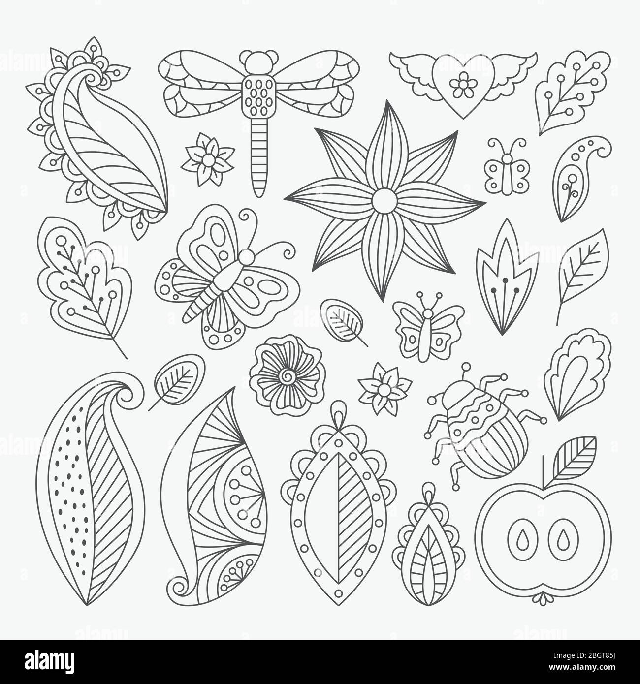 Set floreale vettoriale con foglie ed erbe, insetti e farfalle. Elementi a tema estivo per inviti, matrimoni o biglietti di auguri Illustrazione Vettoriale