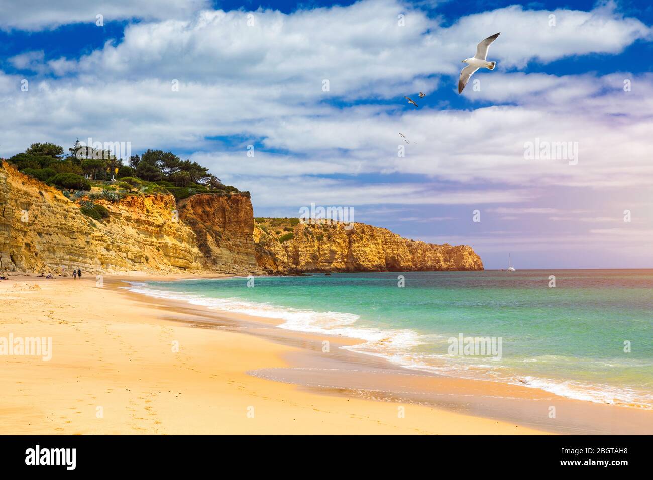 Praia de Porto de Mos con i gabbiani sorvolano la spiaggia, Lagos, Portogallo. Praia do Porto de Mos, lunga spiaggia di Lagos, regione di Algarve, Portogallo. Foto Stock