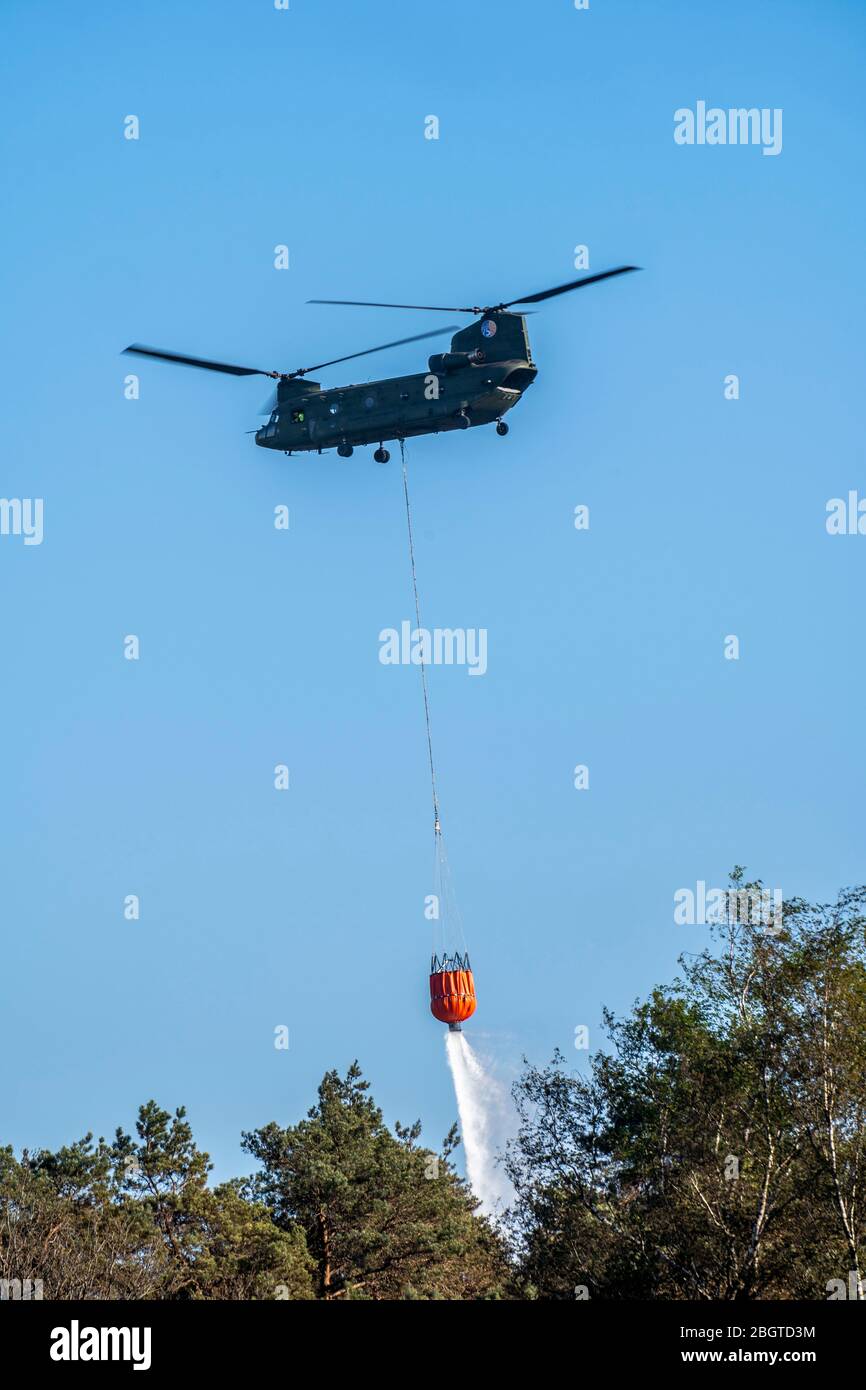 Incendio di foreste nella regione di confine tedesco-olandese vicino a NiederkrŸchten-Elmpt, in una riserva naturale, uso di elicotteri antincendio, Boeing CH-47 Chinook h. Foto Stock