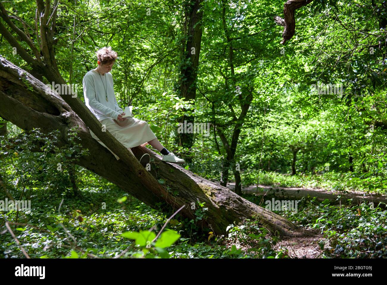 Donna che legge un libro in un ambiente boschivo, durante l'epidemia COVID-19, Tooting Common, Londra, Regno Unito Foto Stock
