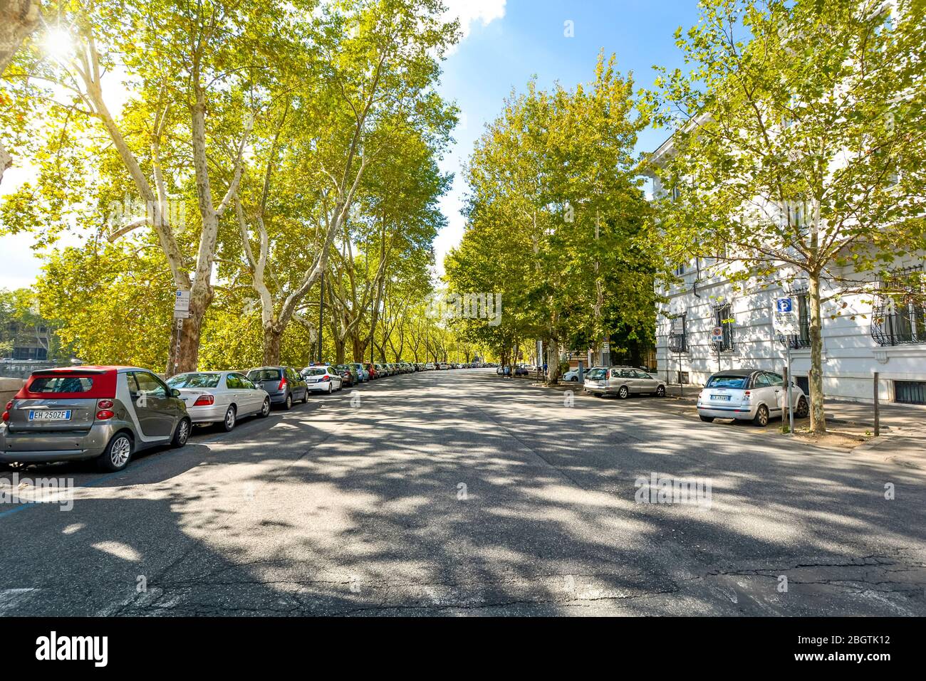 Le auto sono parcheggiate lungo una strada alberata in un quartiere di lusso che corre lungo il fiume Tevere a Roma. Foto Stock