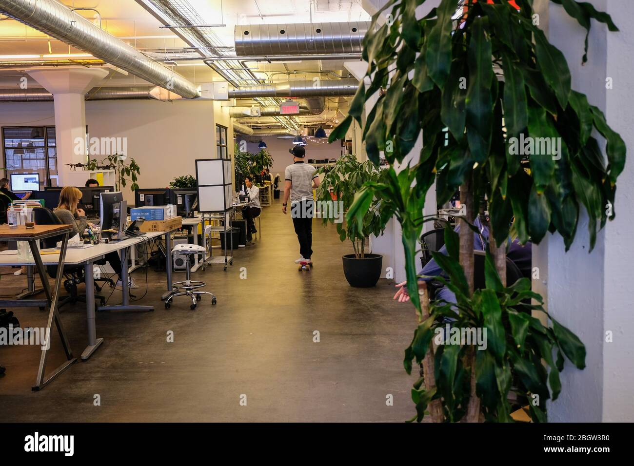 MONTREAL, CANADA - GENNAIO 25: Un uomo che fa skateboard in uno spazio di lavoro in un ufficio di startup nella città di Montreal, Quebec, Montreal, Canada su Ja Foto Stock