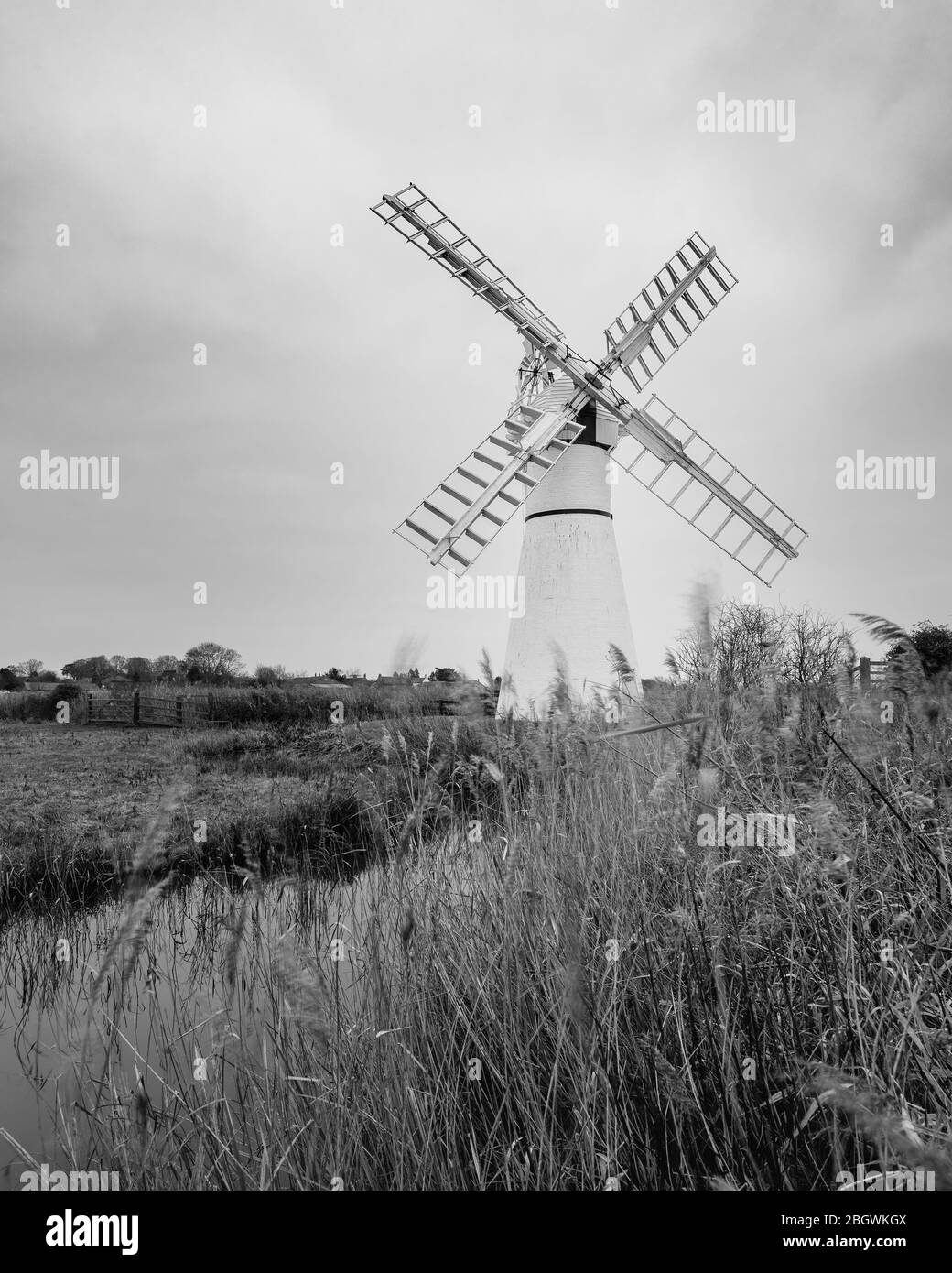 Pompa a vento Thurne e canne mono. Thurne, gennaio 2019 Foto Stock