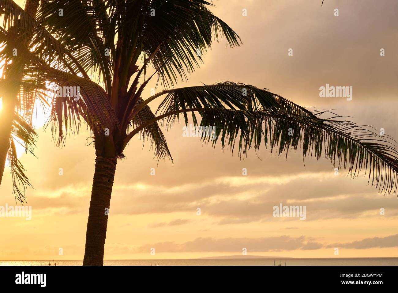 Boracay, Filippine - 23 gennaio 2020: Tramonto sull'isola di Boracay. Vela e altre barche tradizionali con turisti sul mare sullo sfondo di Foto Stock