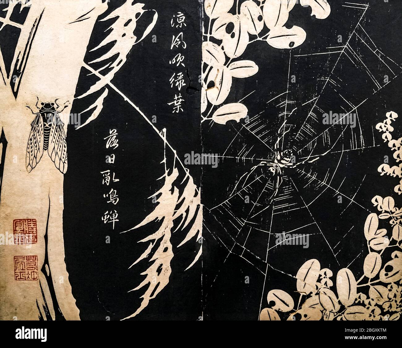 Ragno e cicada, Genpoyoka (squisiti fiori dal regno degli Immortali) collezione di disegni di piante e insetti, di Ito Jakuchu, 1768 Foto Stock