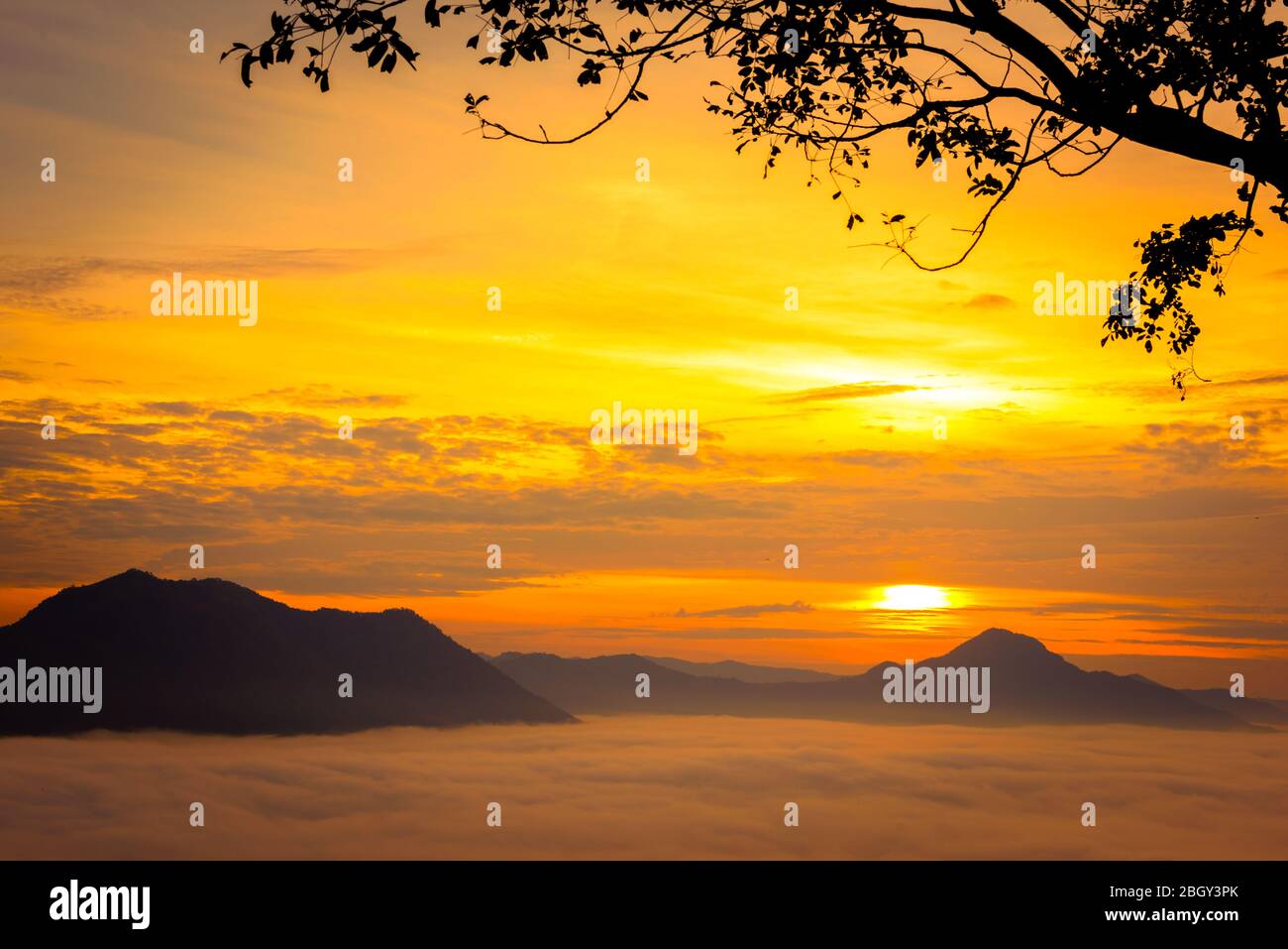 Bella vista del mare di nebbia e dell'alba a Phu Thok a Chiang Khan, provincia di Loei, Thailandia. Foto Stock