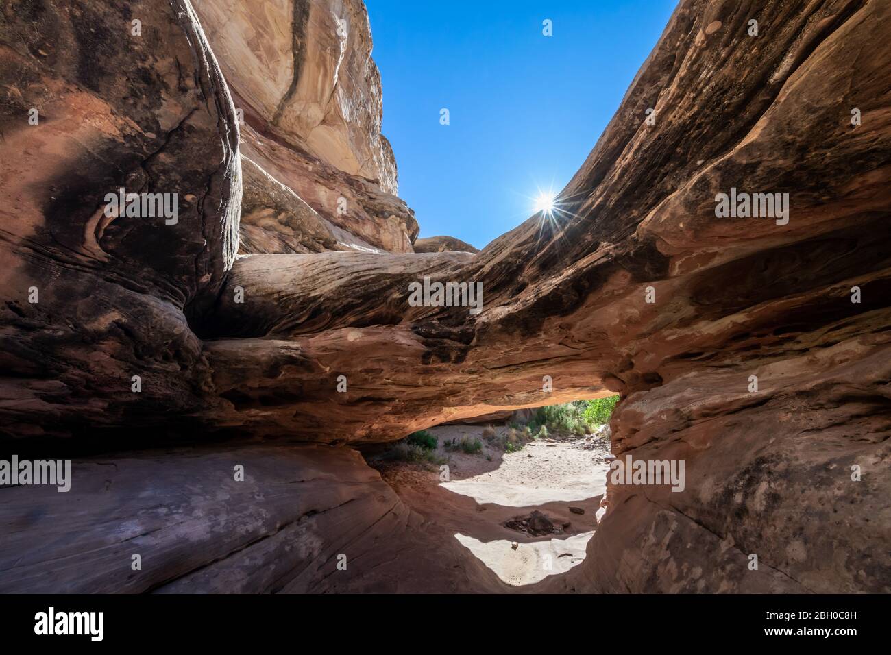 All'interno di un canyon di slot sul sentiero Hickman Bridge presso il Capitol Reef National Park, con la sua superficie scolpita e attorcigliata dall'erosione Foto Stock