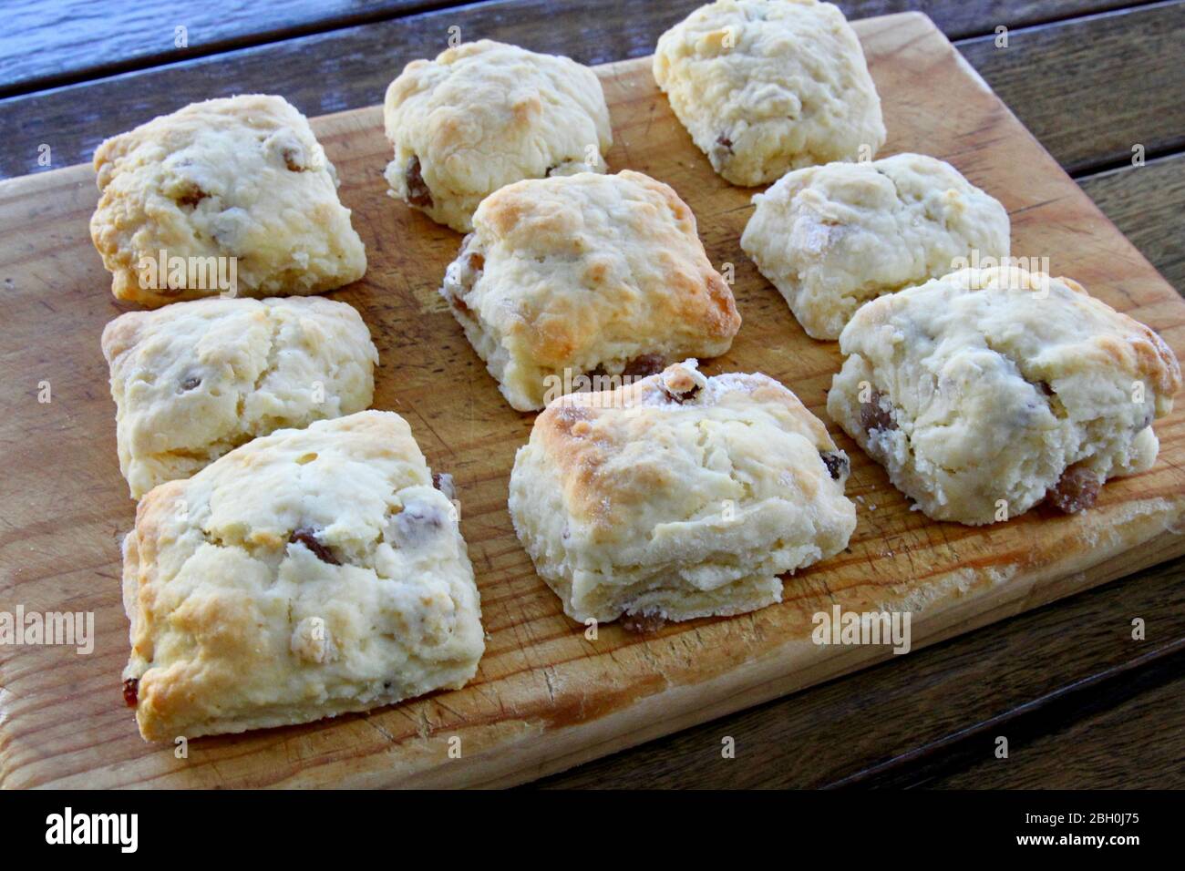 Scones fatti in casa. Foto Stock