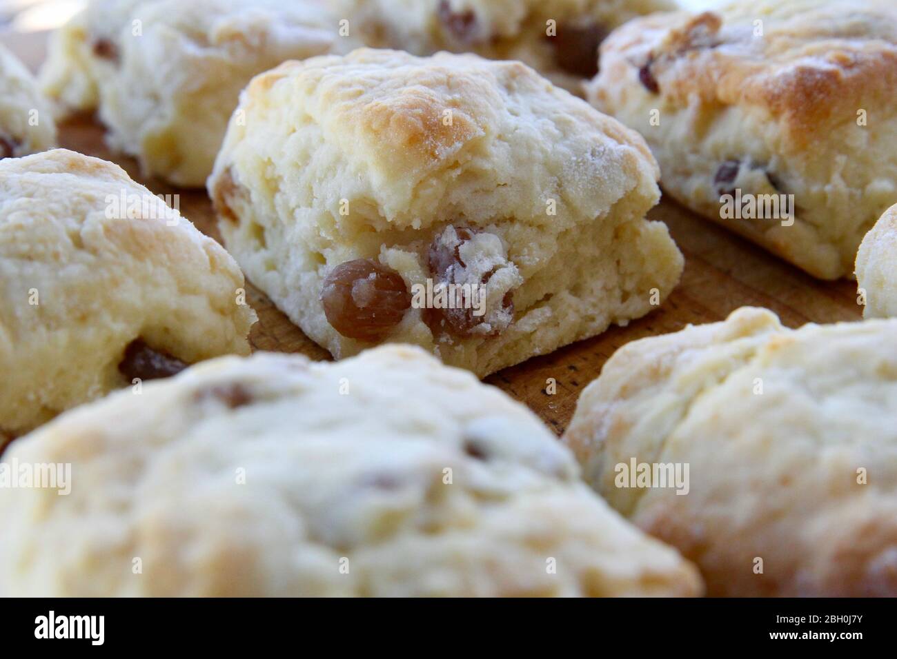 Scones fatti in casa. Foto Stock