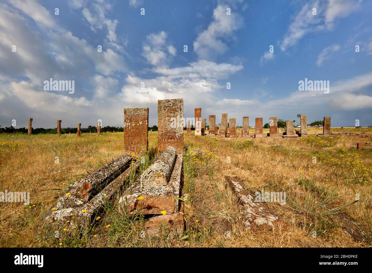 Antiche lapidi nel cimitero storico dei Turchi Selcuk del 12 ° secolo, nella città di Ahlat, Turchia Foto Stock