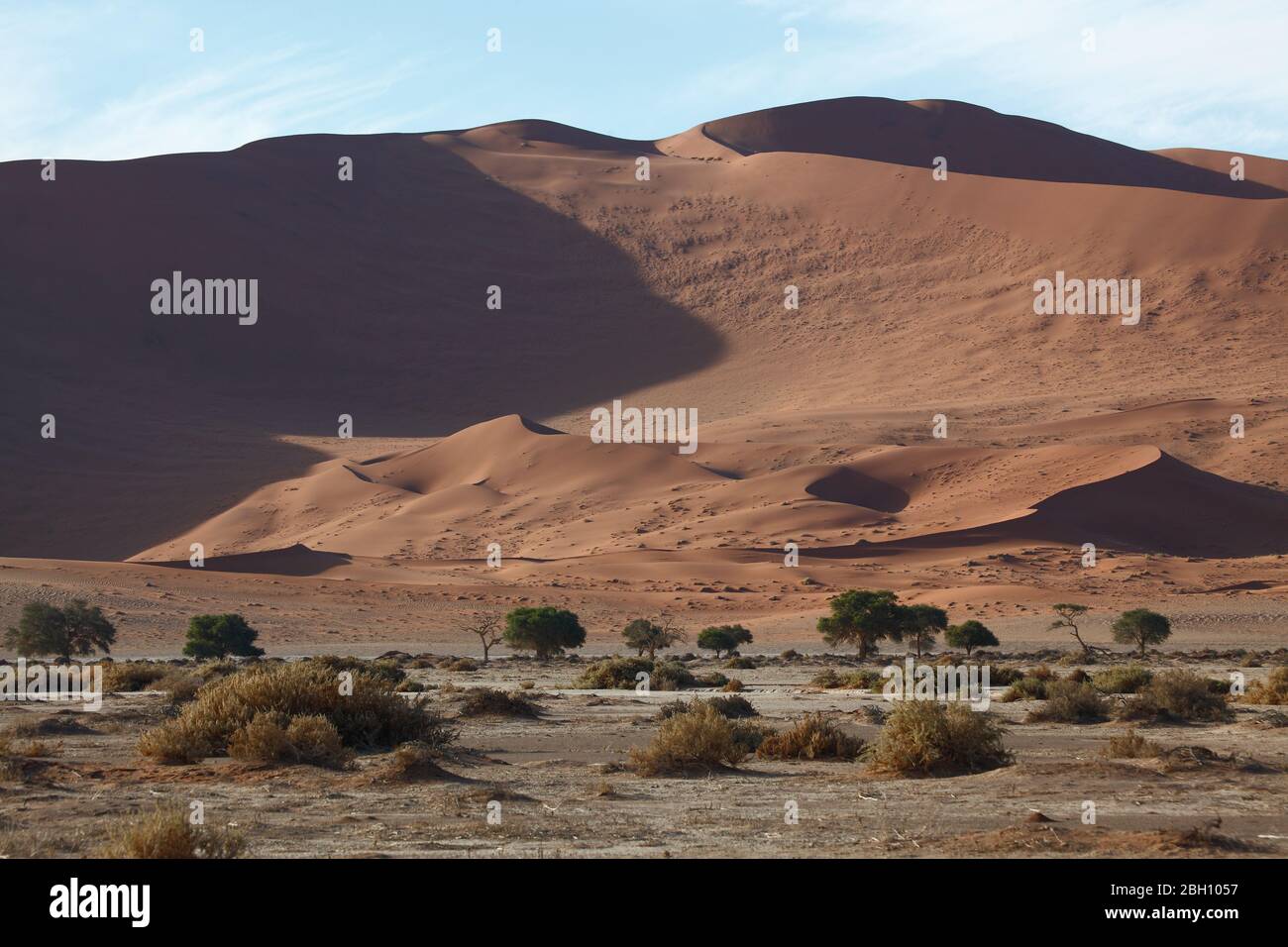 Torreggianti dune di sabbia a Sossusvlei nel Namib Naukluft Park nella Namibia meridionale Foto Stock