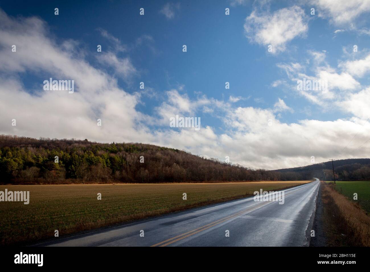 Una strada asfaltata e umida conduce oltre un campo agricolo in basse colline, sotto un cielo blu con nuvole bianche nella parte occidentale di New York, USA Foto Stock