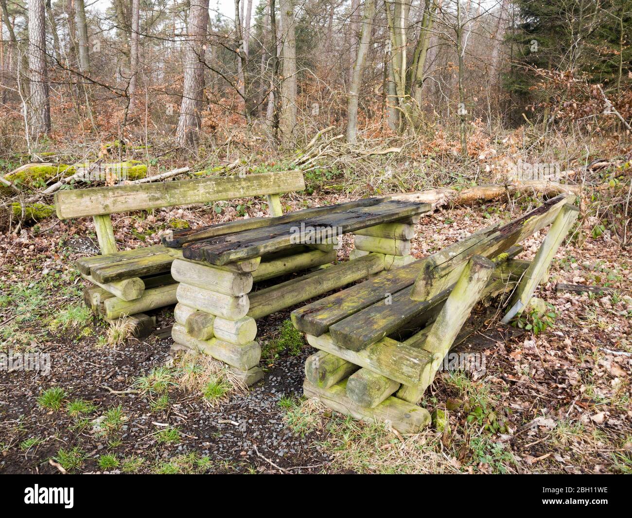Panchine in legno e tavola picknick lungo un sentiero e sentiero a Westerwald, Renania-Palatinato, Germania, Europa occidentale Foto Stock