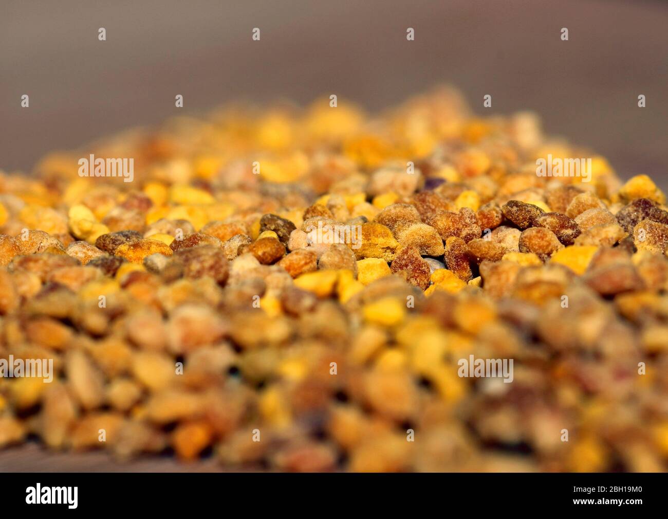 polline d'api Foto Stock