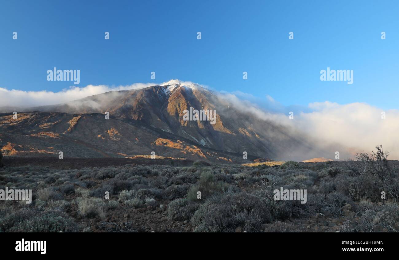 Pico del Teide con le nuvole intorno alla cima, Isole Canarie, Tenerife, Parco Nazionale del Teide Foto Stock